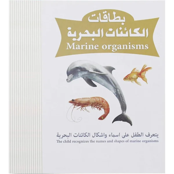 بطاقات تعليمية بصور الكائنات البحرية للأطفال
