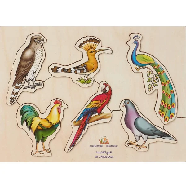 Birds Shaped Wooden Puzzle - Multi Color