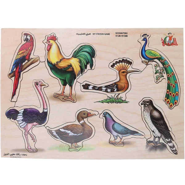 Birds Shape Puzzle Toy for Kids, Multi Color