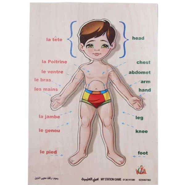 Human Body Wooden Puzzle - Multi Color