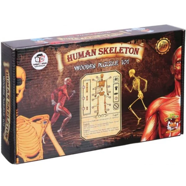 Human Skeleton Wooden Puzzle for Kids